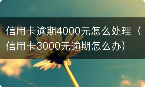 信用卡逾期4000元怎么处理（信用卡3000元逾期怎么办）