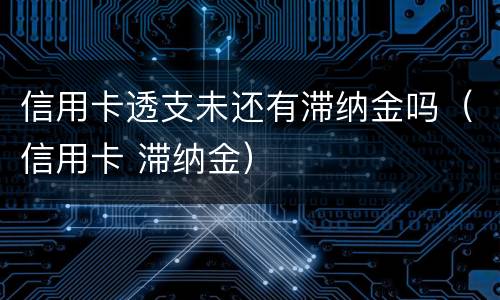 信用卡透支未还有滞纳金吗（信用卡 滞纳金）