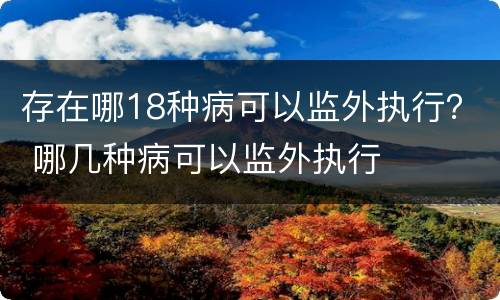 存在哪18种病可以监外执行？ 哪几种病可以监外执行