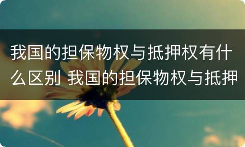 我国的担保物权与抵押权有什么区别 我国的担保物权与抵押权有什么区别呢