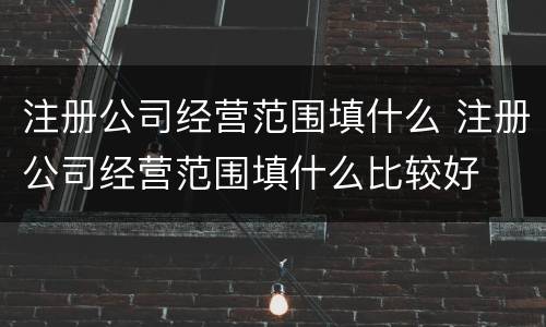 注册公司经营范围填什么 注册公司经营范围填什么比较好