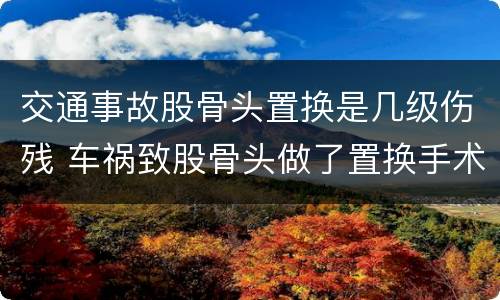 交通事故股骨头置换是几级伤残 车祸致股骨头做了置换手术可评几级