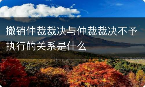 撤销仲裁裁决与仲裁裁决不予执行的关系是什么