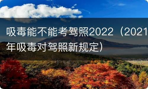 吸毒能不能考驾照2022（2021年吸毒对驾照新规定）