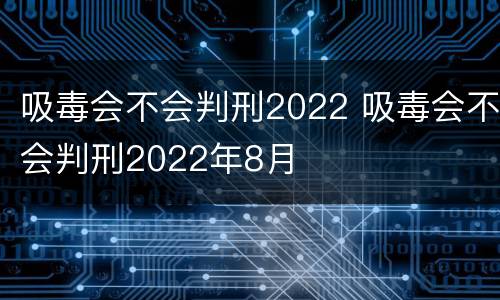 吸毒会不会判刑2022 吸毒会不会判刑2022年8月