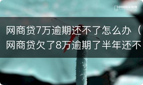 网商贷7万逾期还不了怎么办（网商贷欠了8万逾期了半年还不上怎么办）