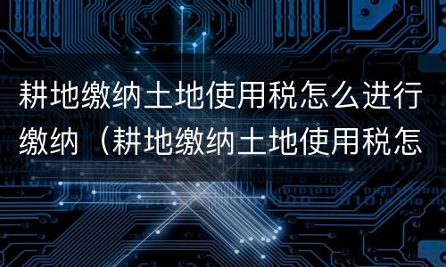 耕地缴纳土地使用税怎么进行缴纳（耕地缴纳土地使用税怎么进行缴纳增值税）