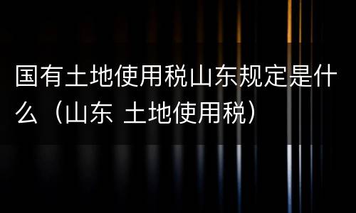 国有土地使用税山东规定是什么（山东 土地使用税）