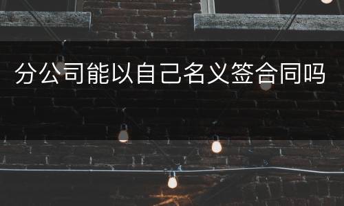 分公司能以自己名义签合同吗