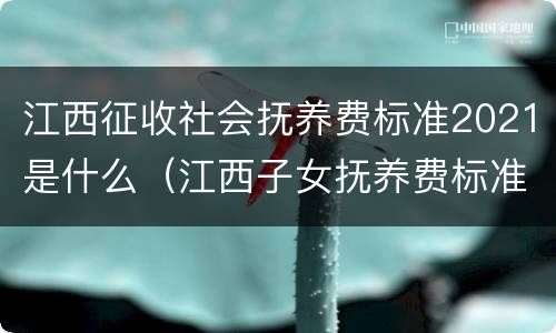 江西征收社会抚养费标准2021是什么（江西子女抚养费标准2021）