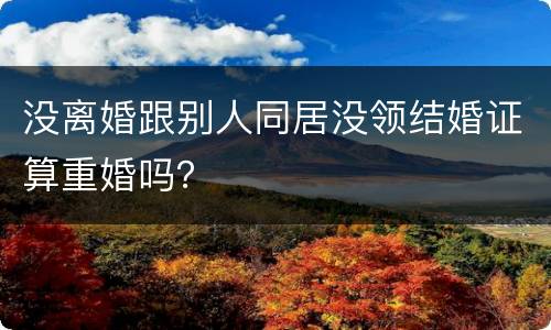 没离婚跟别人同居没领结婚证算重婚吗？