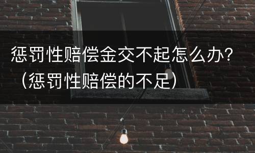 惩罚性赔偿金交不起怎么办？（惩罚性赔偿的不足）