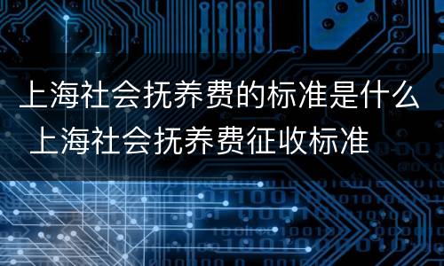 上海社会抚养费的标准是什么 上海社会抚养费征收标准