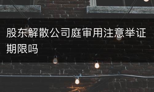 股东解散公司庭审用注意举证期限吗