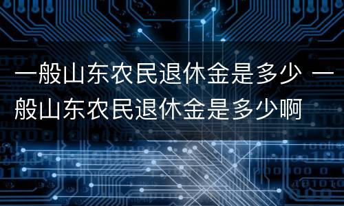 一般山东农民退休金是多少 一般山东农民退休金是多少啊