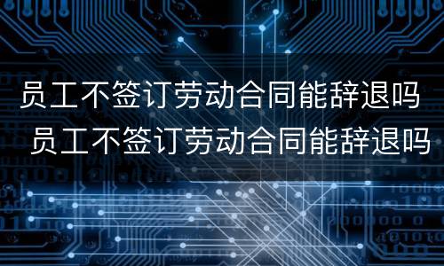 员工不签订劳动合同能辞退吗 员工不签订劳动合同能辞退吗合法吗