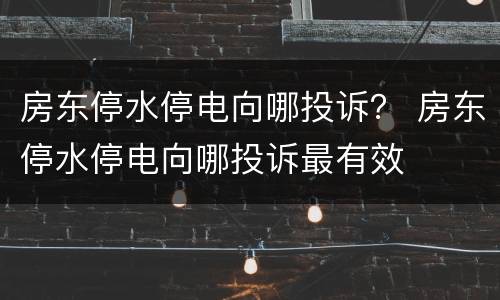 房东停水停电向哪投诉？ 房东停水停电向哪投诉最有效