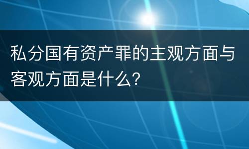 私分国有资产罪的主观方面与客观方面是什么？