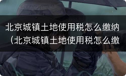 北京城镇土地使用税怎么缴纳（北京城镇土地使用税怎么缴纳流程）