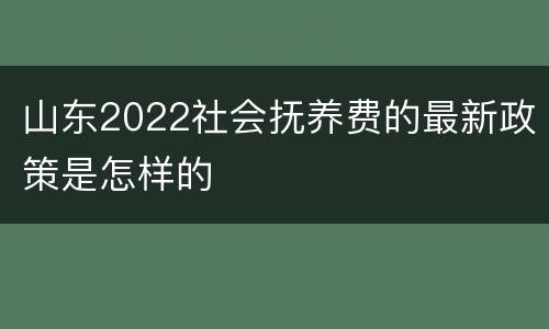 山东2022社会抚养费的最新政策是怎样的