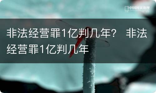 非法经营罪1亿判几年？ 非法经营罪1亿判几年