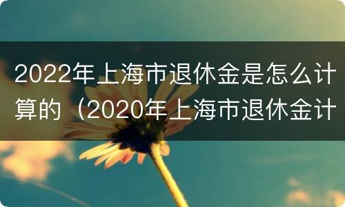 2022年上海市退休金是怎么计算的（2020年上海市退休金计算方法）