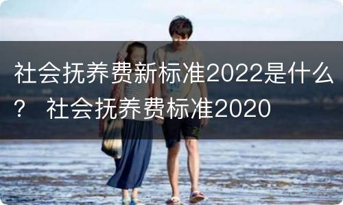 社会抚养费新标准2022是什么？ 社会抚养费标准2020