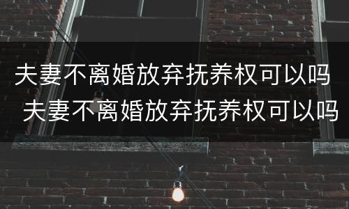 夫妻不离婚放弃抚养权可以吗 夫妻不离婚放弃抚养权可以吗知乎