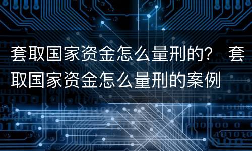 套取国家资金怎么量刑的？ 套取国家资金怎么量刑的案例