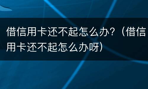 借信用卡还不起怎么办?（借信用卡还不起怎么办呀）