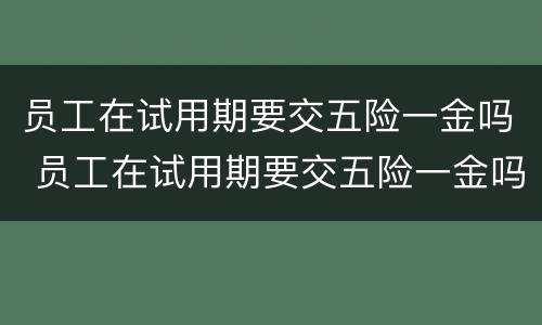 员工在试用期要交五险一金吗 员工在试用期要交五险一金吗