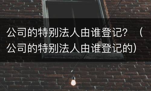 公司的特别法人由谁登记？（公司的特别法人由谁登记的）