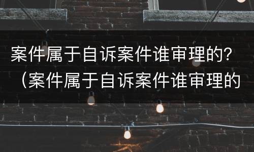 案件属于自诉案件谁审理的？（案件属于自诉案件谁审理的呢）