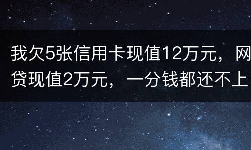 我欠5张信用卡现值12万元，网贷现值2万元，一分钱都还不上了，会判多少年