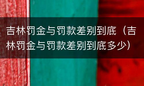 吉林罚金与罚款差别到底（吉林罚金与罚款差别到底多少）