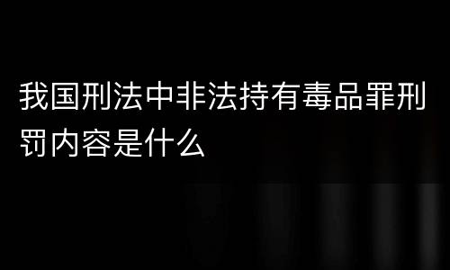 我国刑法中非法持有毒品罪刑罚内容是什么