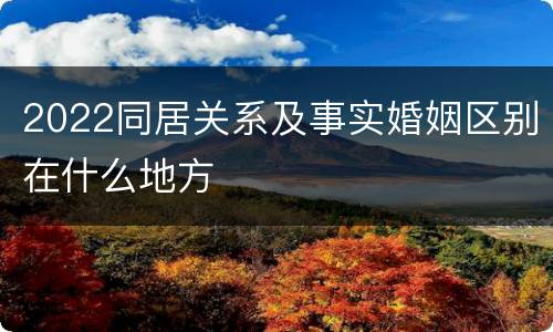 2022同居关系及事实婚姻区别在什么地方