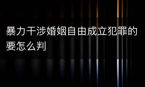 暴力干涉婚姻自由成立犯罪的要怎么判