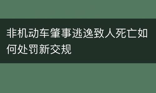 非机动车肇事逃逸致人死亡如何处罚新交规