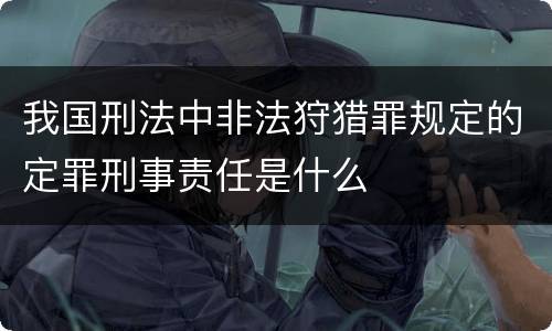 我国刑法中非法狩猎罪规定的定罪刑事责任是什么