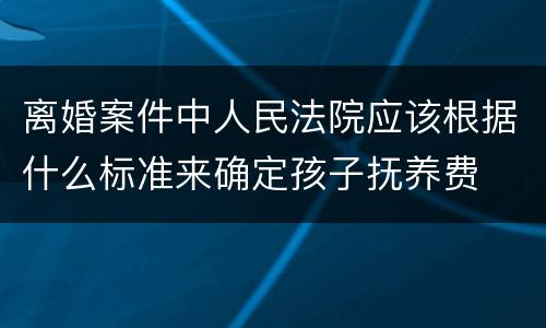 离婚案件中人民法院应该根据什么标准来确定孩子抚养费