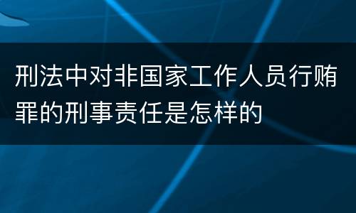 刑法中对非国家工作人员行贿罪的刑事责任是怎样的