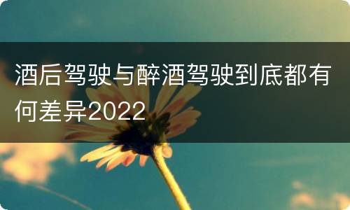 酒后驾驶与醉酒驾驶到底都有何差异2022