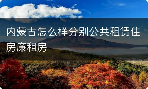 内蒙古怎么样分别公共租赁住房廉租房