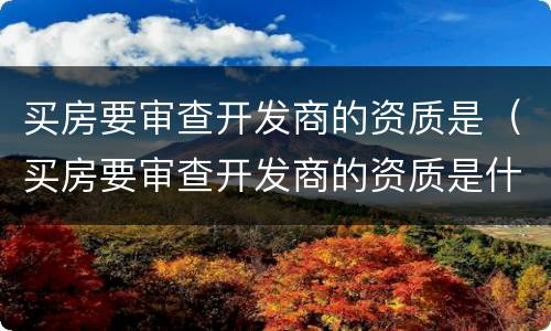 买房要审查开发商的资质是（买房要审查开发商的资质是什么意思）