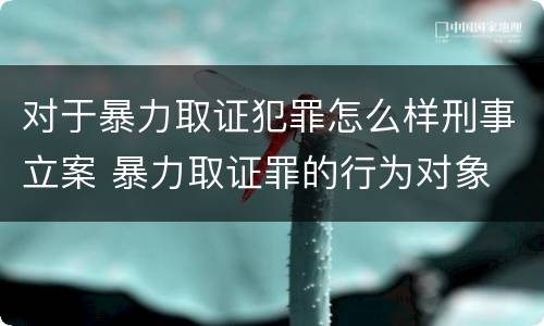 对于暴力取证犯罪怎么样刑事立案 暴力取证罪的行为对象