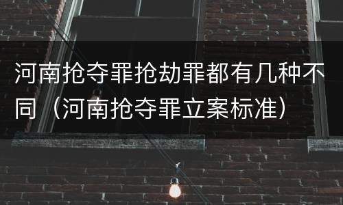 河南抢夺罪抢劫罪都有几种不同（河南抢夺罪立案标准）