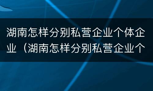 湖南怎样分别私营企业个体企业（湖南怎样分别私营企业个体企业和国企）