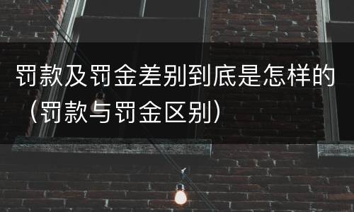 罚款及罚金差别到底是怎样的（罚款与罚金区别）