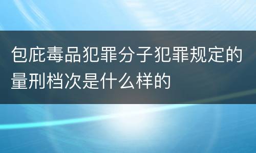 包庇毒品犯罪分子犯罪规定的量刑档次是什么样的